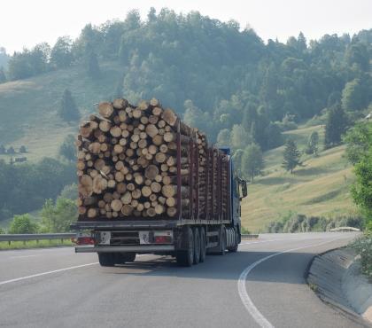 Ciężarówka transportująca drewno